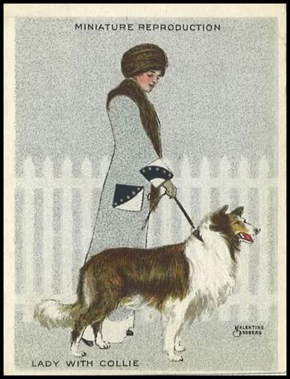 311 Lady With Collie